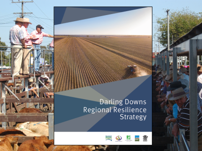 Darling Downs Regional Resilience Strategy
