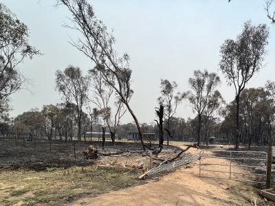 Mental Health Program - SDRC Bushfires 2023