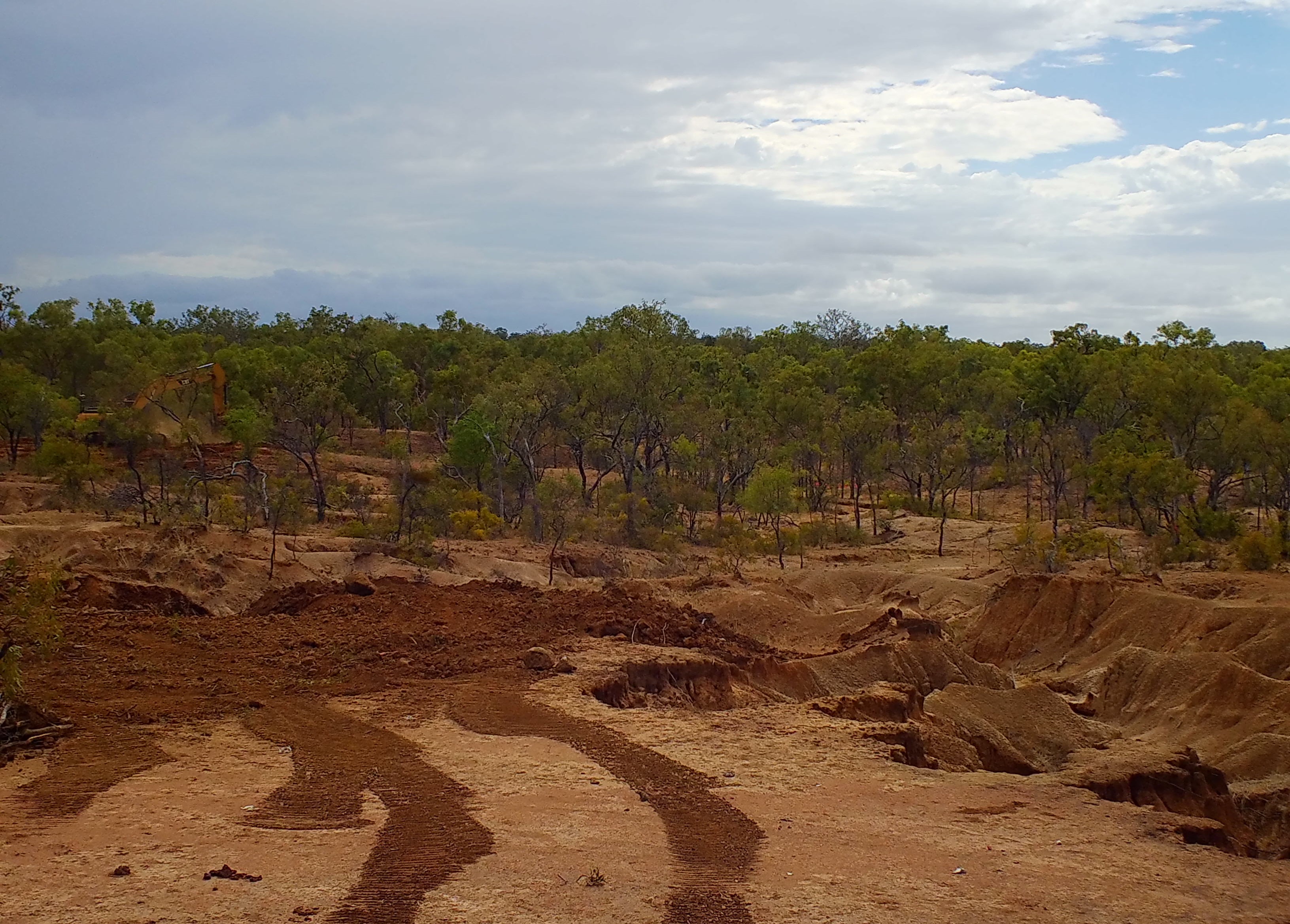 NRM Gully before