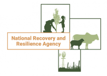 NRRA icon