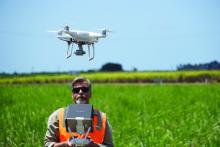 Man using drone in paddock