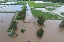 Flooded crops