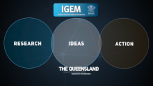 IGEM DMRF
