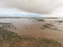 Flooded paddocks