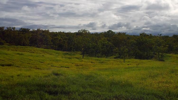 NRM Gully after