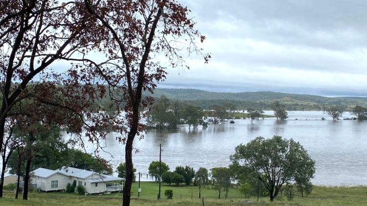 Flooded farm