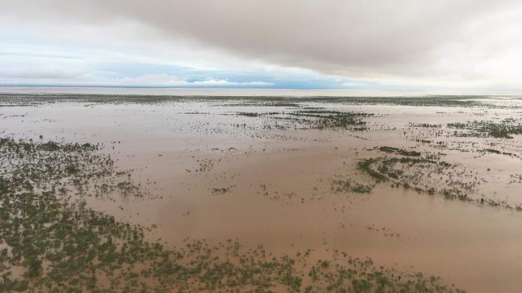 Flooded paddocks