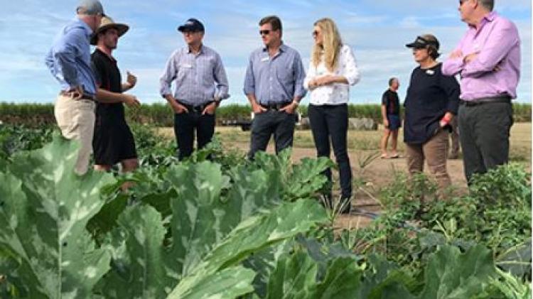 New officers to support flood-affected Queensland producers