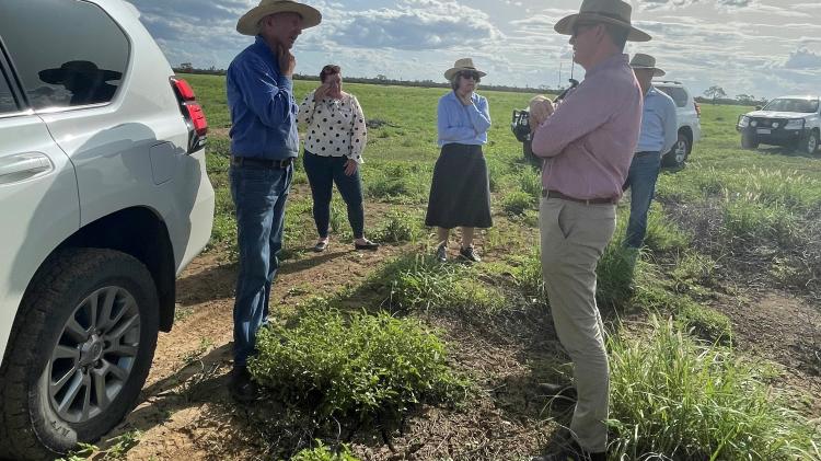 Talking recovery with disaster impacted primary producers in Longreach.