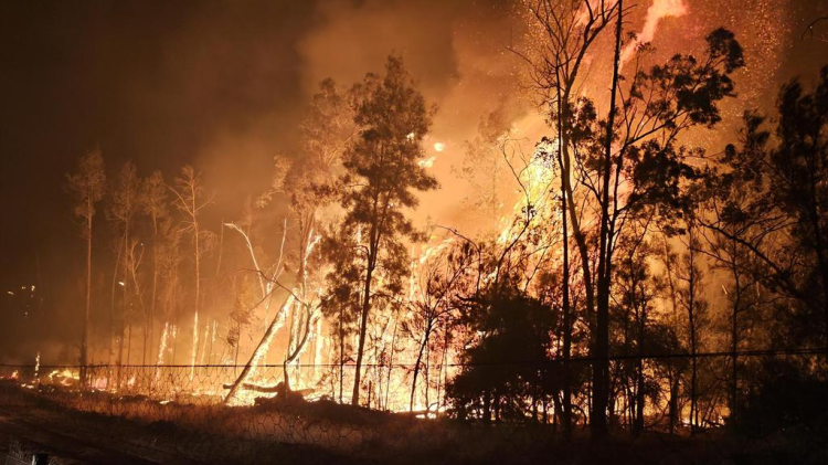 Bushfires in the Western and Darling Downs