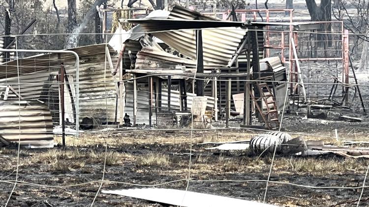 Southern Downs bushfire damage