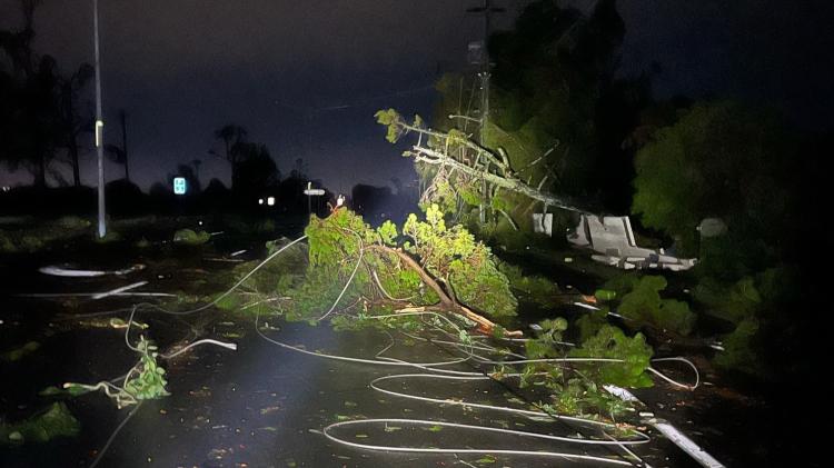 Downed trees and power lines on the Gold Coast following Christmas storms.
