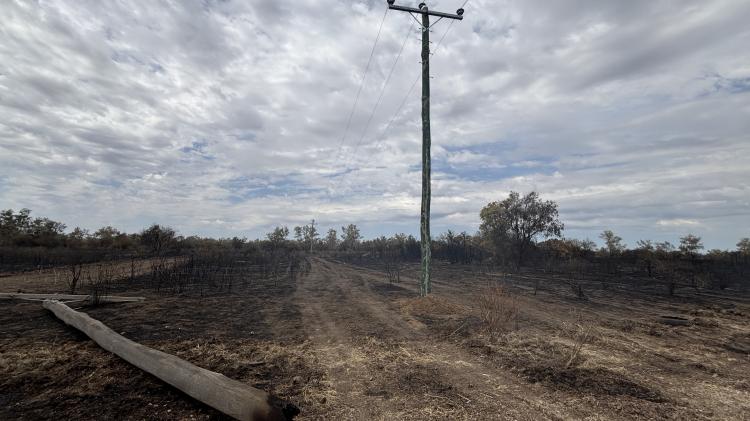 Dirranbandi bushfire damage