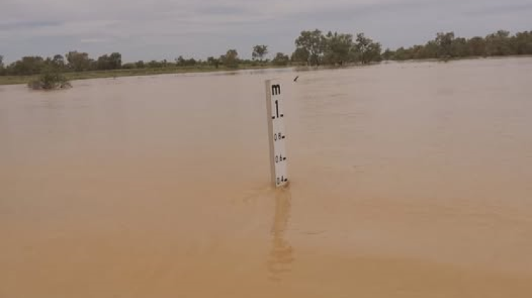 Flinders Highway