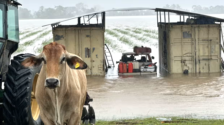 Flooded farm