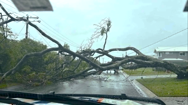 Tropical Cyclone Alfred damage, Redland Bay, via Energex.