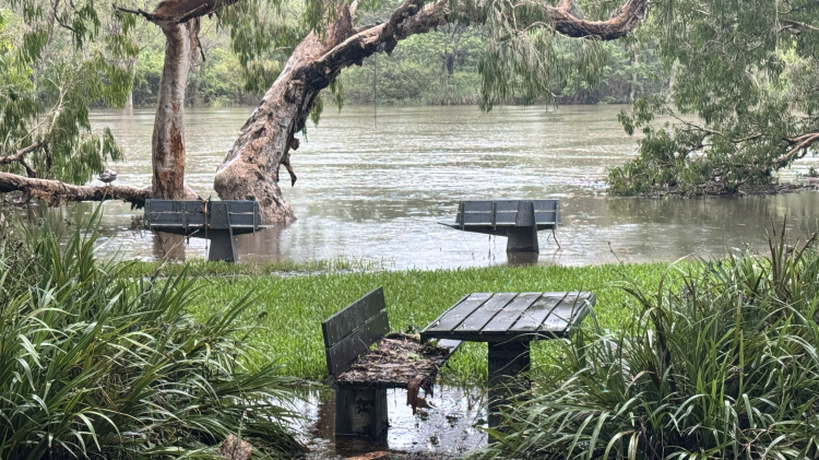 Flooded park