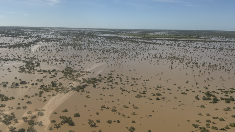 North Queensland floods
