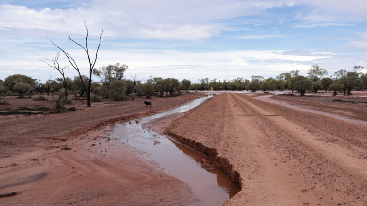 Quilpie floods