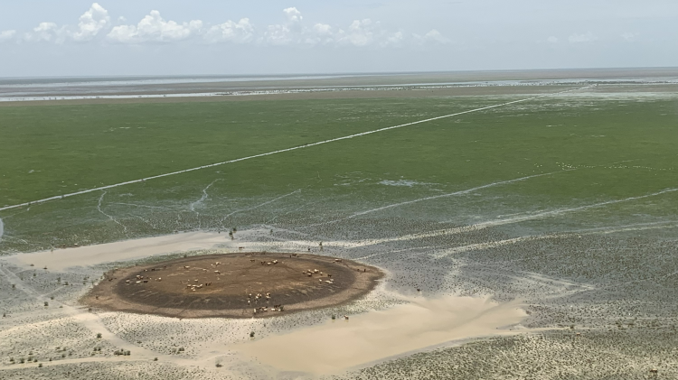 Flood refuge mound