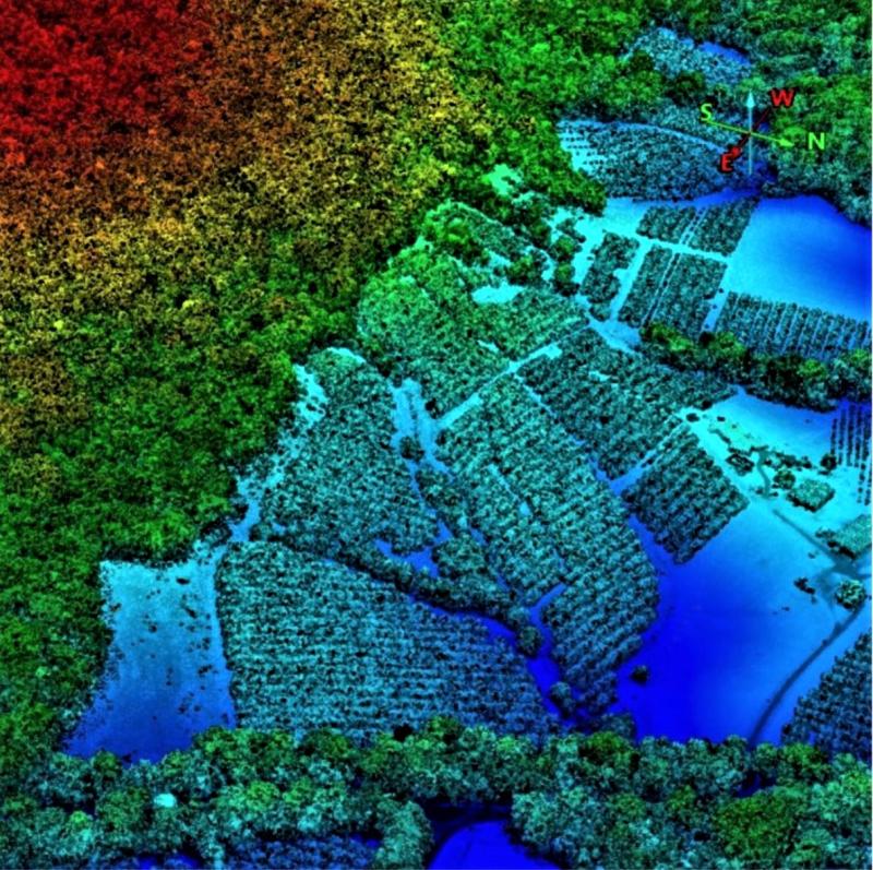 LiDAR imagery of the base of Mount Coonowrin, Glass House Mountains.