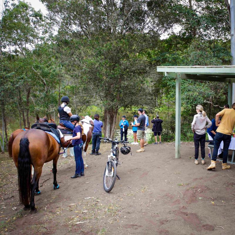 Rest area along the Cooroora Trail