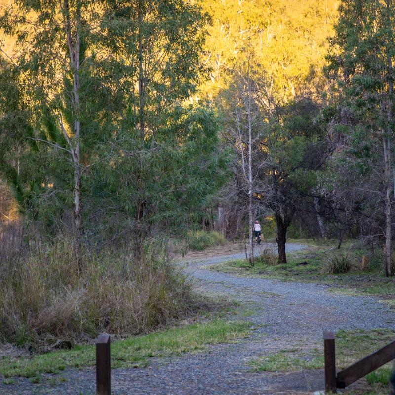 Upgraded trail area