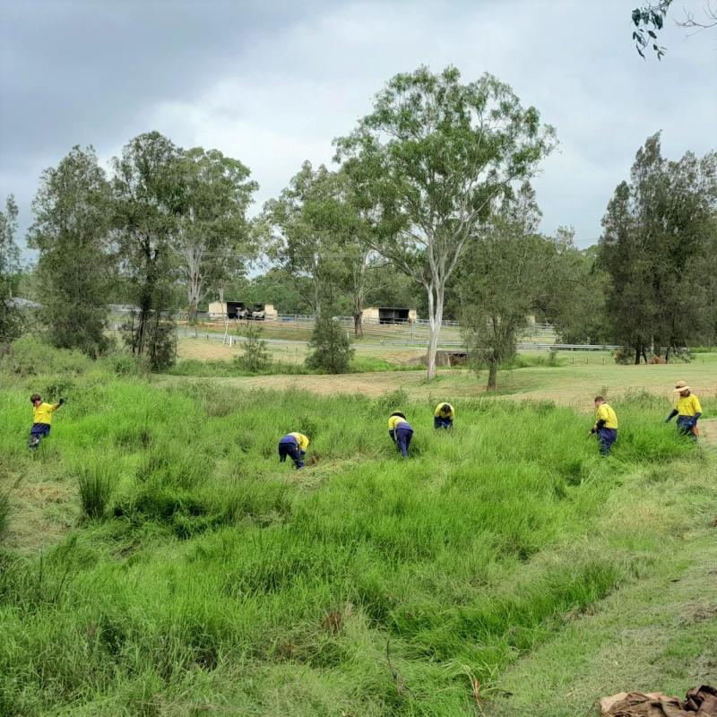 Trainees carrying out land preparation to help stabilise a gully on Woodstock Farm