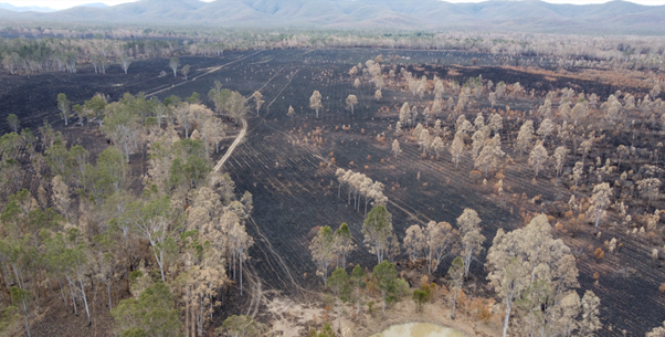 Gladstone fires