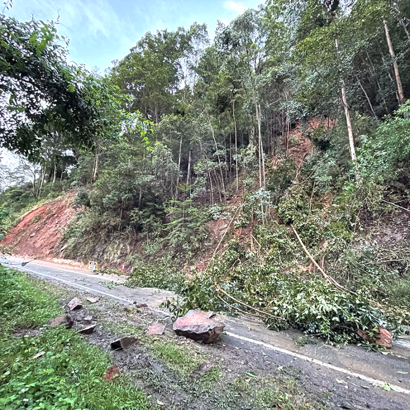 Gold Coast Springbrook landslip site 9 before