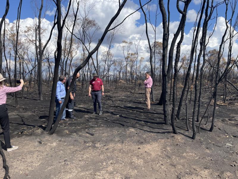 Burnt out bushland in the Western Downs – November 2023