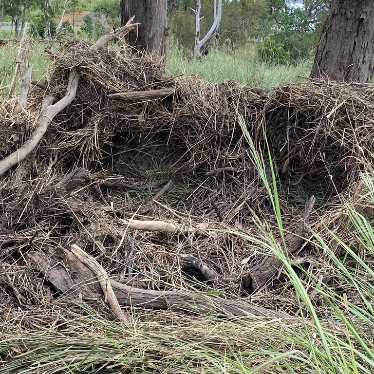 Flood debris against fence