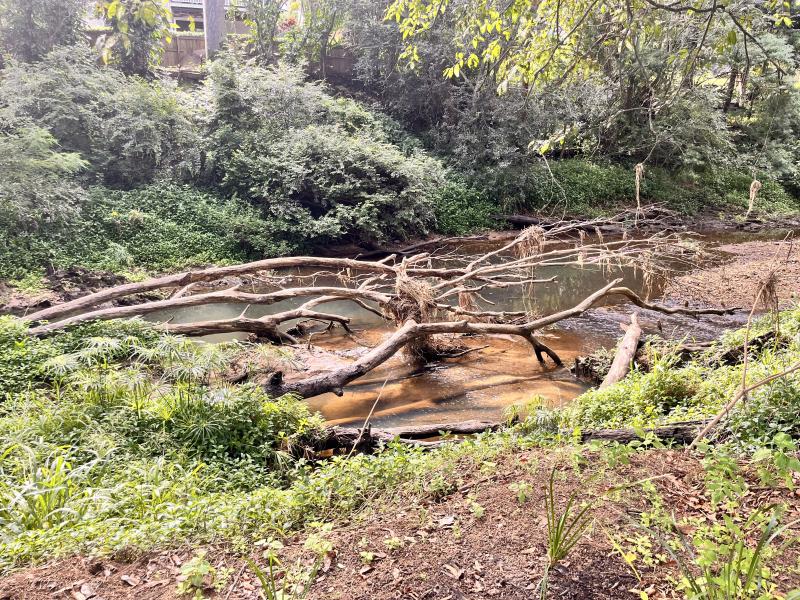 After the flood