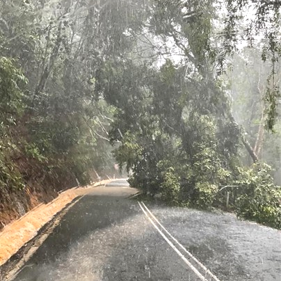 Kuranda Range Road TC Jasper damage