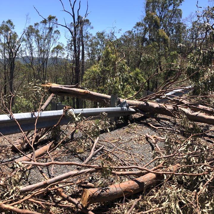Storm damage