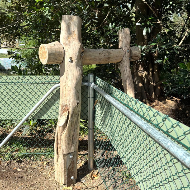 Flaura movement poles