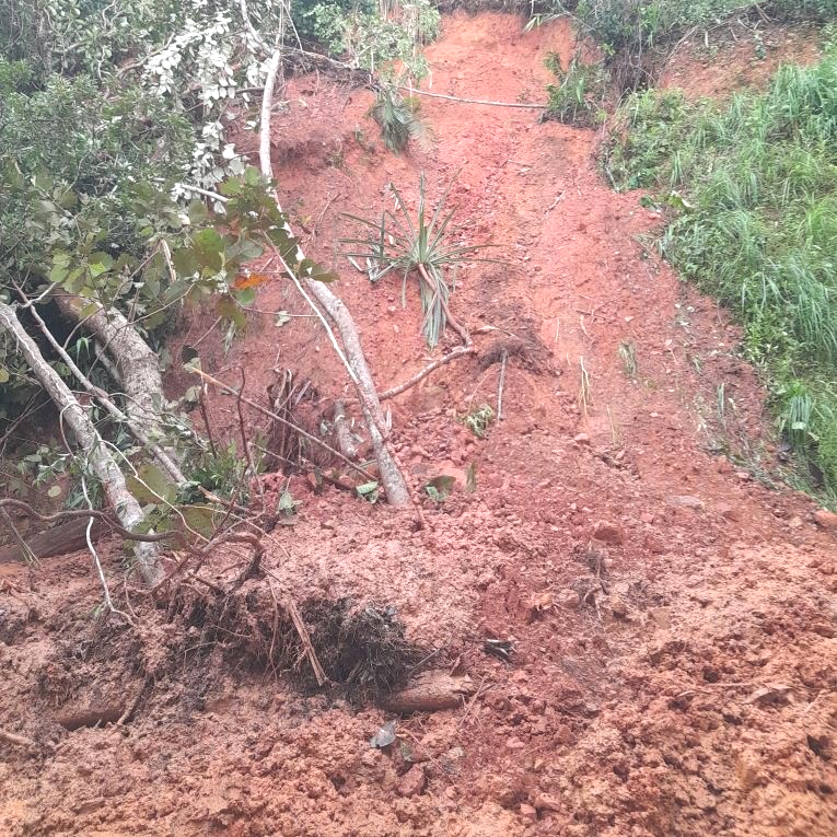 Cape Tribulation landslip
