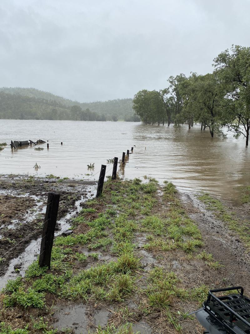 Flooded fence