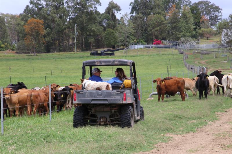Happier times on the farm