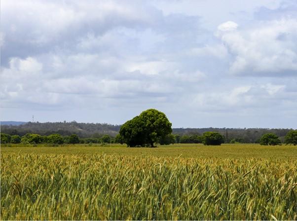After the flood - a more resilient farm