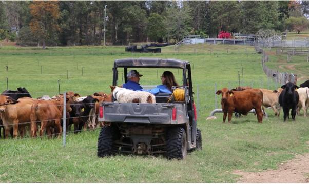 Happier times on the Leacy’s property – February 2025
