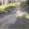crossing 3