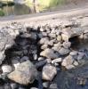 crossing 5