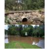 drainage 3