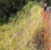 landslip 3