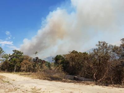 Fire damaged property at Finch Hatton