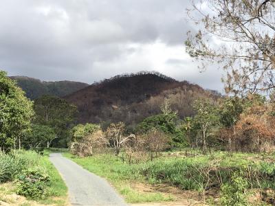 Image of road through green foreground and burnt out mountains