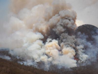 Smoke rising from fire