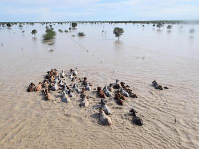 monsoon trough 2019