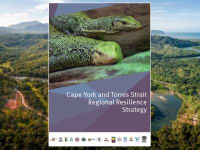 Cape York and Torres Strait Regional Resilience Strategy
